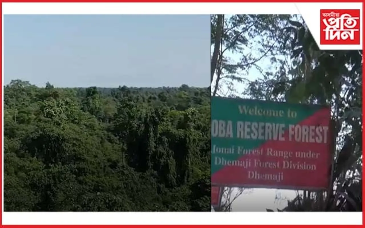 পবা সংৰক্ষিত বনাঞ্চলক বন্যপ্ৰাণী অভয়াৰণ্য ঘোষণা মন্ত্ৰী চন্দ্ৰমোহন পাটোৱাৰীৰ